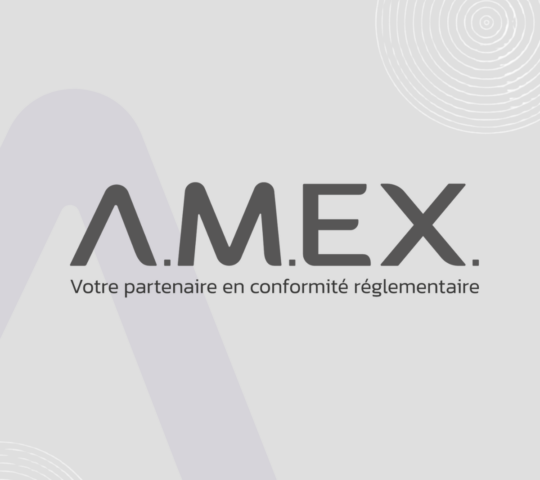 Assistance Maitrise EXpertise